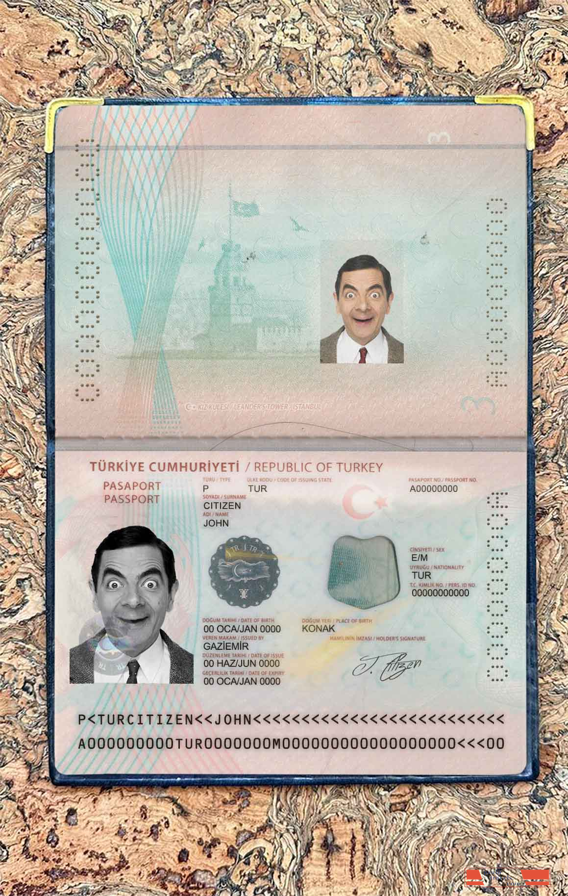 New Turkey Passport photo look PSD template